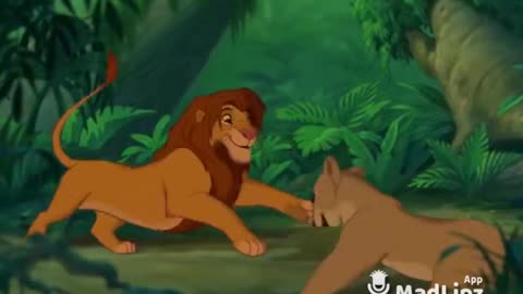 Lion King of Laughs: Funny Cartoon Compilation || Funny videos