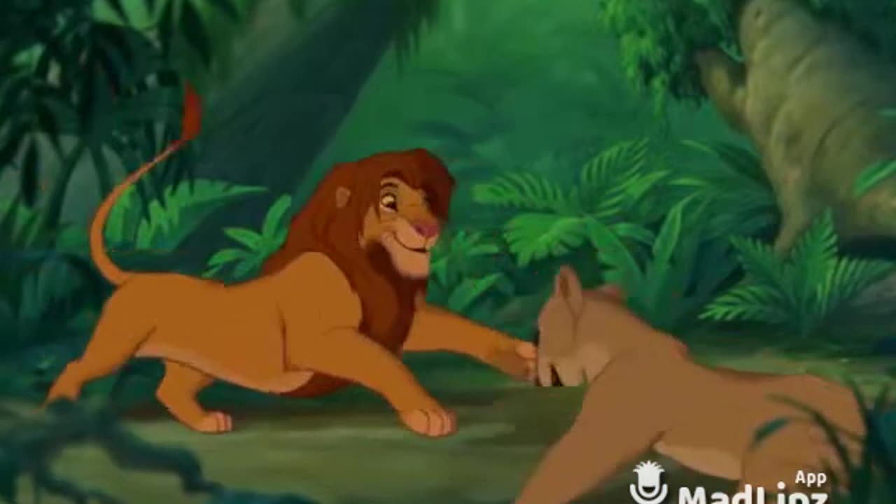 Lion King of Laughs: Funny Cartoon Compilation || Funny videos
