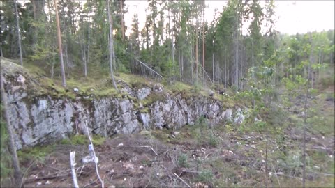 Otalammen metsässä