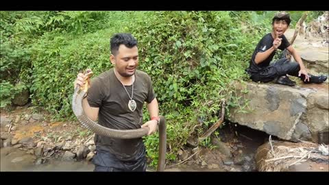 thank you for watching this video and educating wild and wild animals such as snakes and reptiles