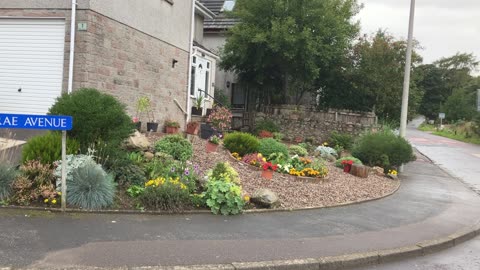 Kirkbrae avenue cults nice garden sept 2023