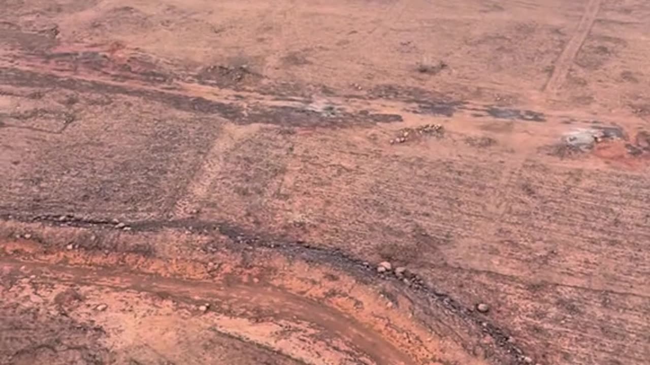 Lahaina After Fire Terrible