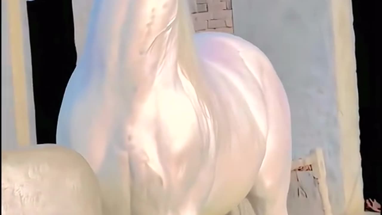 "Majestic Ivory: The Graceful Spirit of a White Horse"