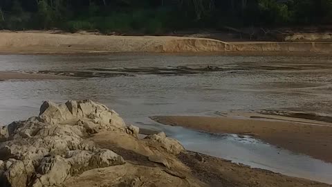 30.10.2024 The Barron River, Kuranda (3)