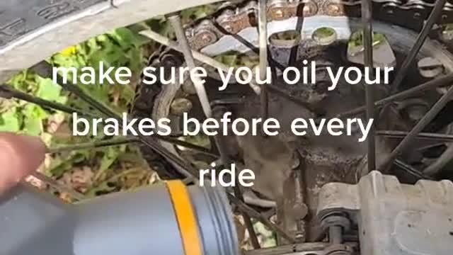 Be sure to oil the brakes before each ride