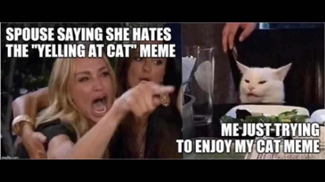 Woman yelling at cat - Meme Compilation