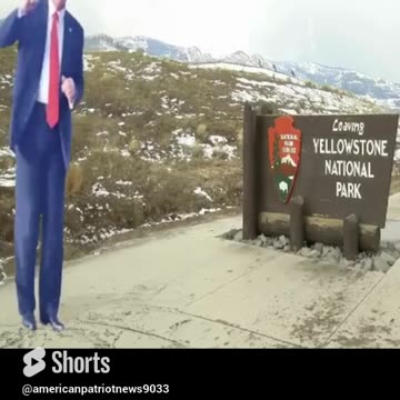 NBC REPORTER AFRAID OF SOMETHING #nbc #donaldtrump #comedy