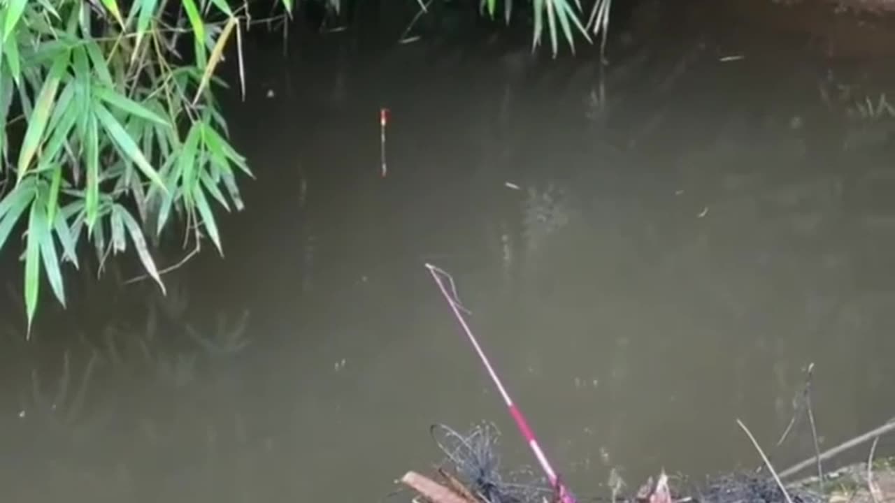 Fishing again