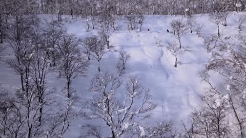 NiJuNiJu 2 - A Niseko Japan powder snow story.