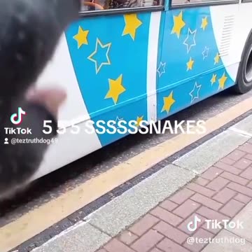 55 ss ssssatan NAZIS ZZ ISIS IS COMING FOR U