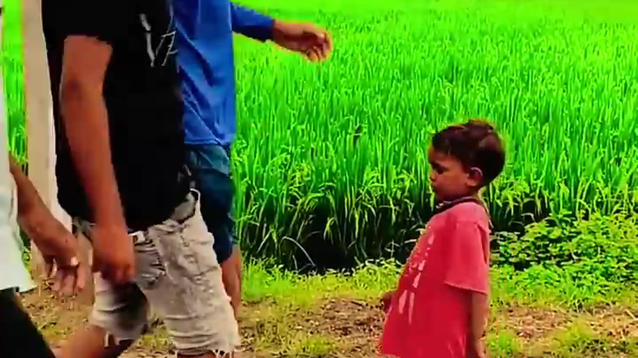 Funny video