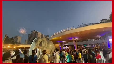 Fireworks display sa soft opening ng Manila Zoo