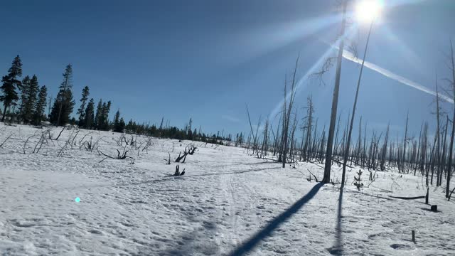 Winter Wilderness Exploring – Deschutes National Forest – Central Oregon – 4K