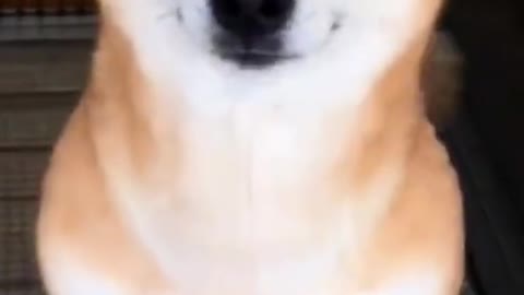 🥰🥰🥰