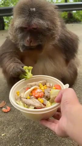 Not impressed with the cooking 🤣