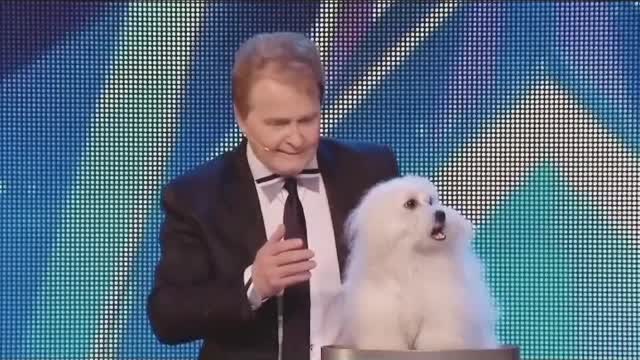 The only dog ​​in the world that talks #dog #dogtalk #toponedag #doglover