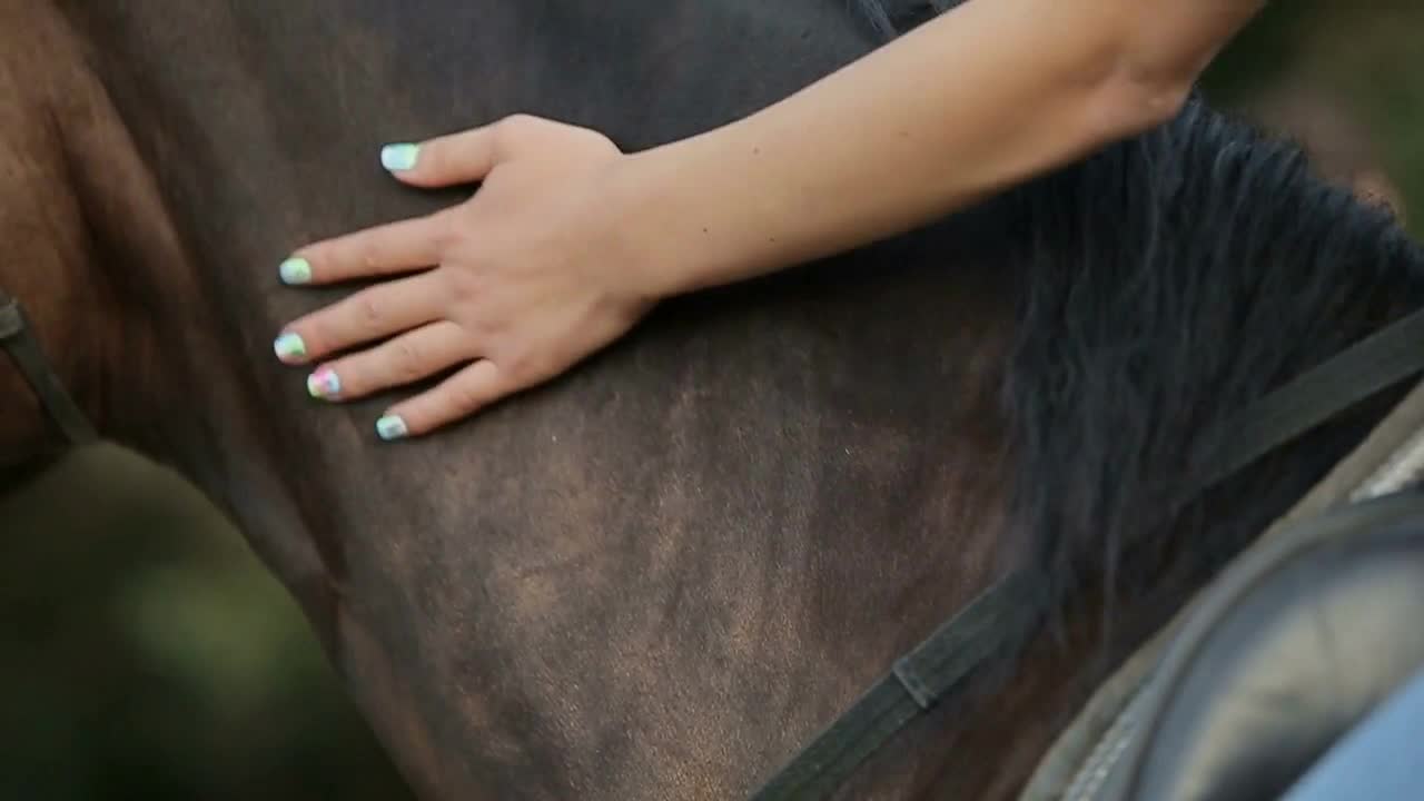 Young couple having fun on weekends. A young couple steals a horse before walking