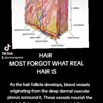 U WILL NOT TWIST THE NARRATIVE HAIR TRLLS ALL WHO U ARE