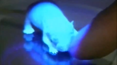 The Race To Patent And Own Life