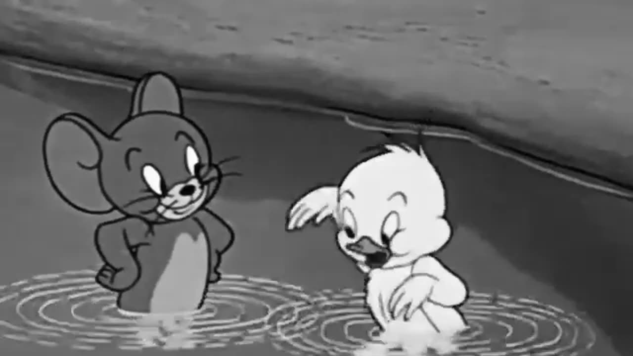 Tom and Jerry cartoon funny scen 😂😂