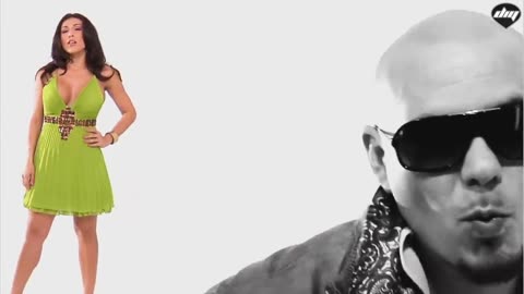 pitbull