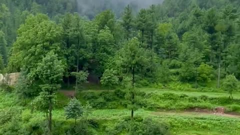 Beautiful tirah