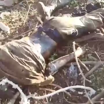 MORE AND MORE UKRANIAN CORPSES