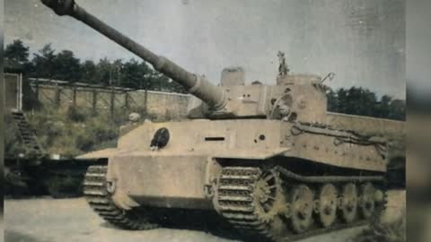 Tiger I in Colour_Cut