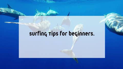 Surf’s Up: Mastering the Perfect Wave