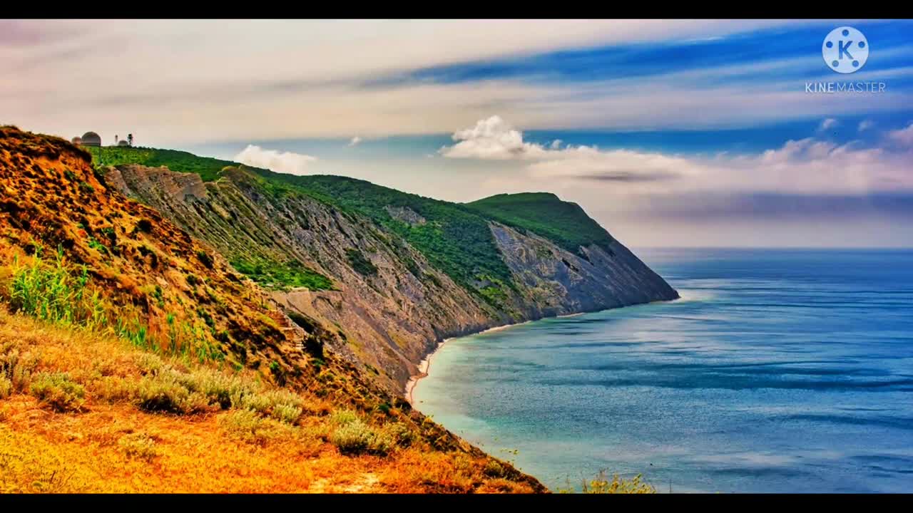 Relaxing Music | Sleeping, Meditation, Stress Relief | [1175] ⭐️