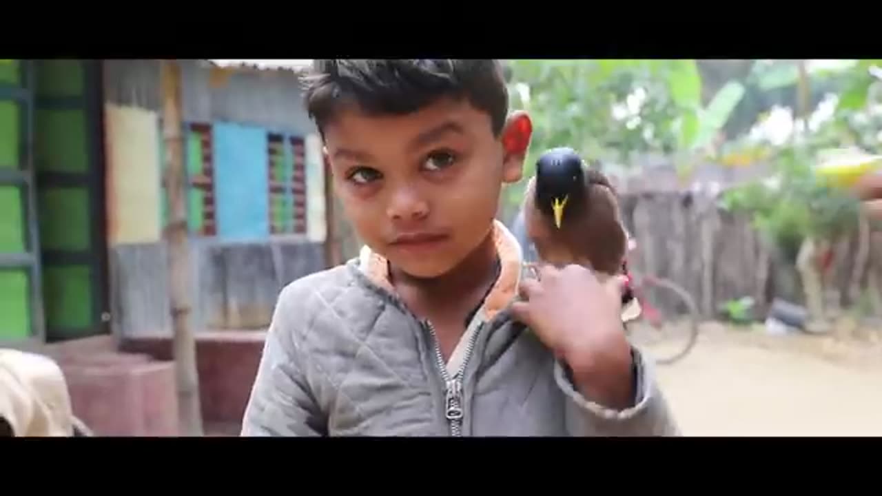 Baby kids for myna Bird funny firndsip video