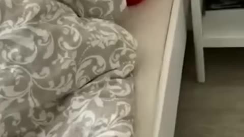So funny 23