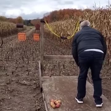 PAINFULL FAILS #shorts #39 #painfull #funny #failsoftheweek #failcompilation #fail #funnyclips