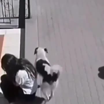 The dog peed on her back.