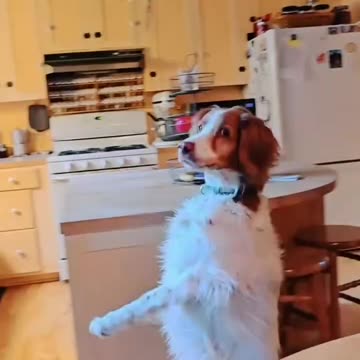 Love the power of adaption and perseverance