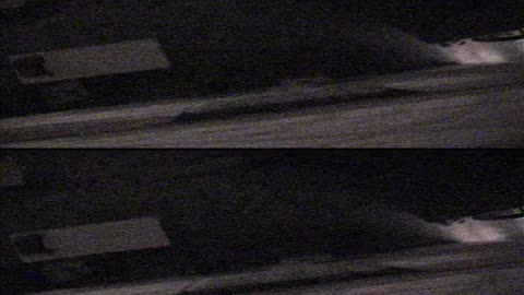 4002BGCO01WestHall_2021-01-05_04h59min56s697ms_1.mp4