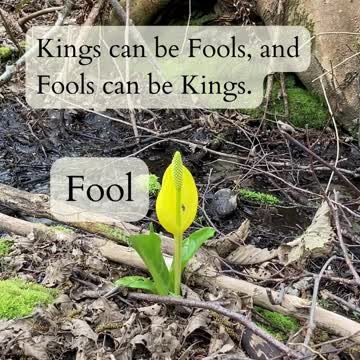 Fool to 10 of Cups 2022-10-30