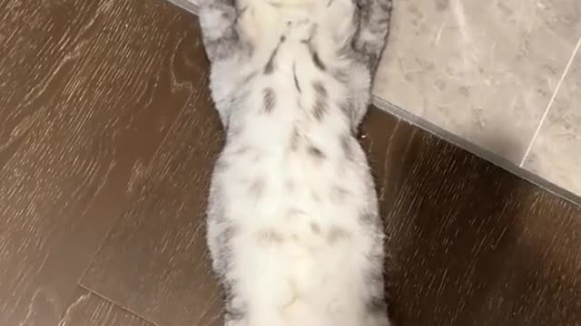 Itisespeciallycomfortabletoliedownwithyourlegsandfeetoutstretched.