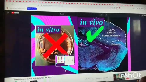 @zeee_media We are watching very closely 👀 and hoping to see more about the Itu-IMT-2030-6G-IOBNT-BIOCONVERGANCE Come Out Of Your Channel Really Soon! ⏲️