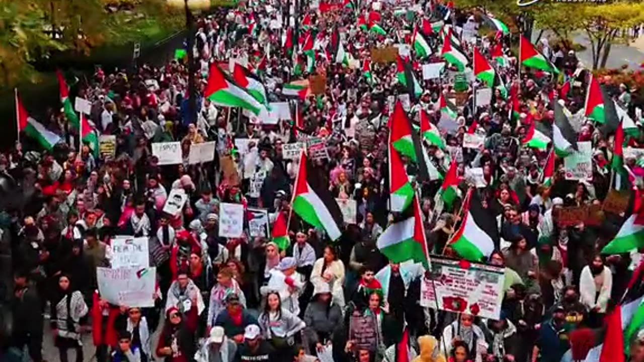 America stand with Israel but American stand with Palestine #foryou #fyp #foryoupage