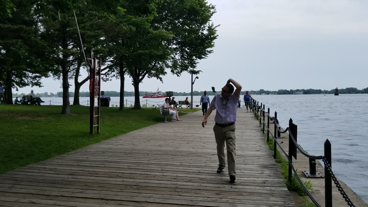 Birds Attacking People in Toronto