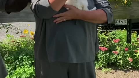 And they call it puppy love