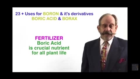 Borax Cleanse
