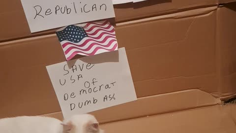 Stand up for America