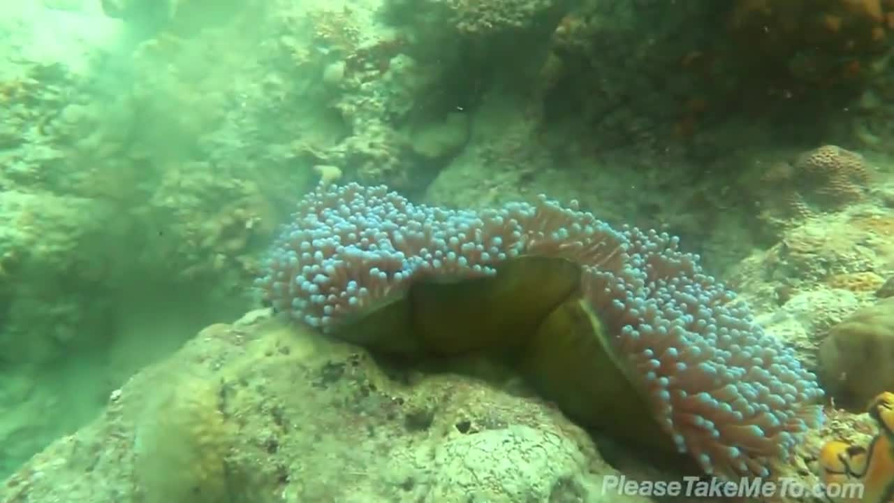 Sabah Mabul Island - Malaysia Travel Video