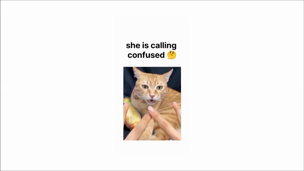 "You Won't Believe What These Adorable Animals Did!"
