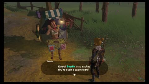 Breath of the Wild Shrines and more Shrines