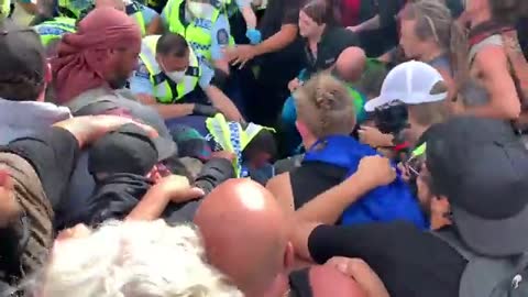 New Zealand Police FIGHTING w/Protestors at Parliament