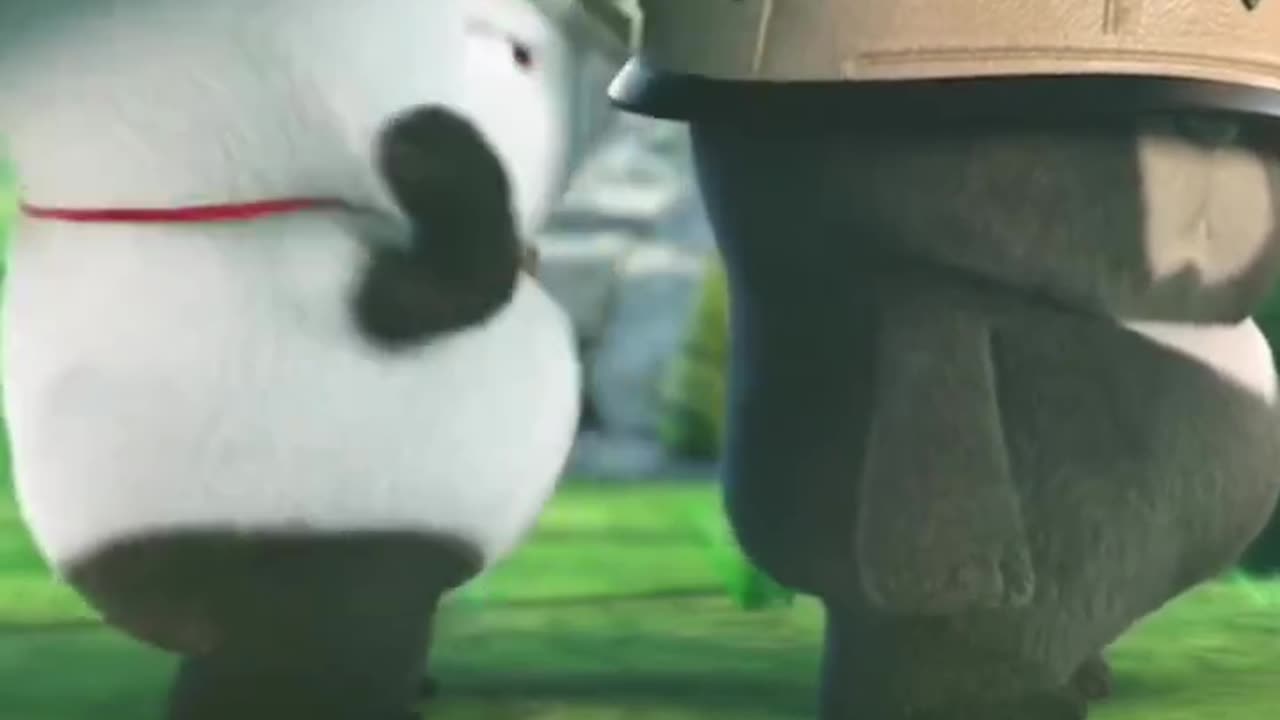 Cute panda funny video