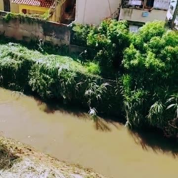 Limpeza do Rio Caratinga no Centro - 04 de dezembro de 2023